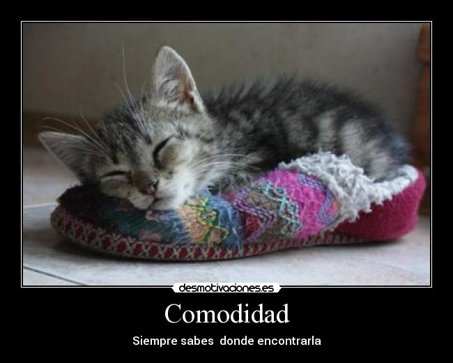 Comodidad -