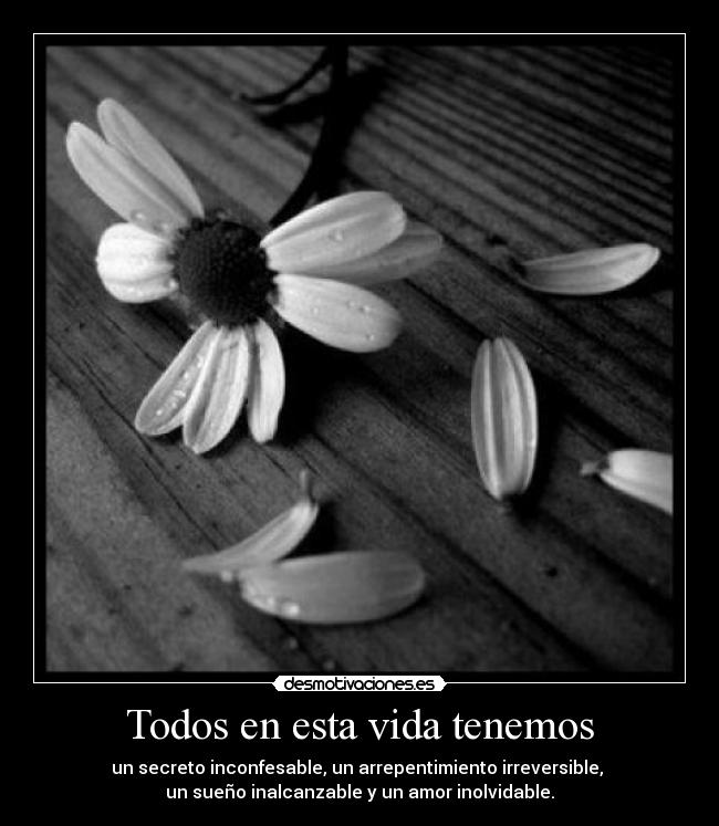 Todos en esta vida tenemos -