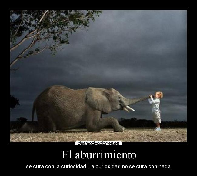 El aburrimiento - se cura con la curiosidad. La curiosidad no se cura con nada.