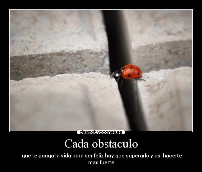 Cada obstaculo - que te ponga la vida para ser feliz hay que superarlo y asi hacerte mas fuerte