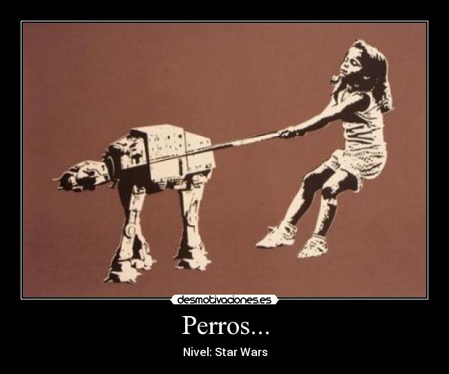 Perros... -
