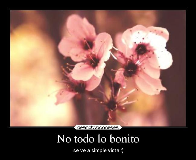 No todo lo bonito - se ve a simple vista :)