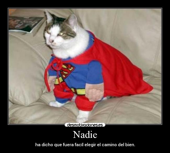 Nadie - ha dicho que fuera facíl elegir el camino del bien.