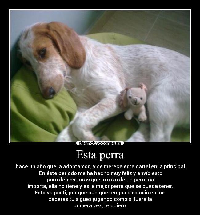 Esta perra - 