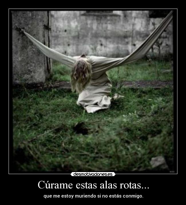 Cúrame estas alas rotas... - que me estoy muriendo si no estás conmigo.