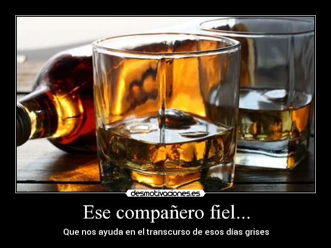 Ese compañero fiel... - Que nos ayuda en el transcurso de esos días grises
