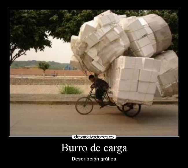 Burro de carga - 