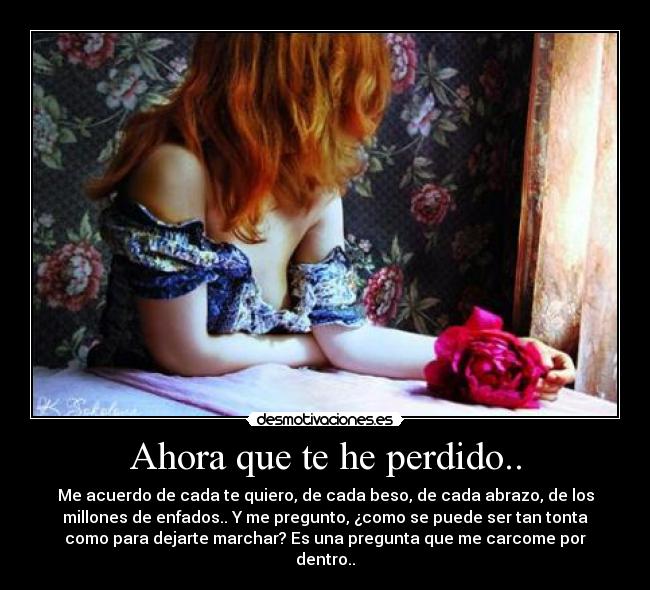 carteles ahora que perdido besos abrazos enfados como pude dejarte marchar desmotivaciones