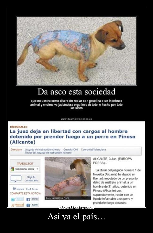 Así va el país… -