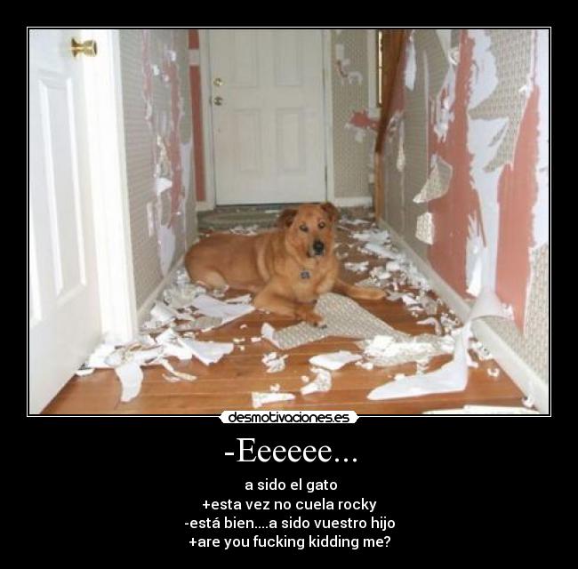 -Eeeeee... - a sido el gato
+esta vez no cuela rocky
-está bien....a sido vuestro hijo
+are you fucking kidding me?