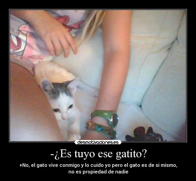 -¿Es tuyo ese gatito? - +No, el gato vive conmigo y lo cuido yo pero el gato es de si mismo,
no es propiedad de nadie
