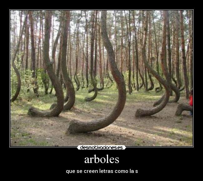 arboles - que se creen letras como la s