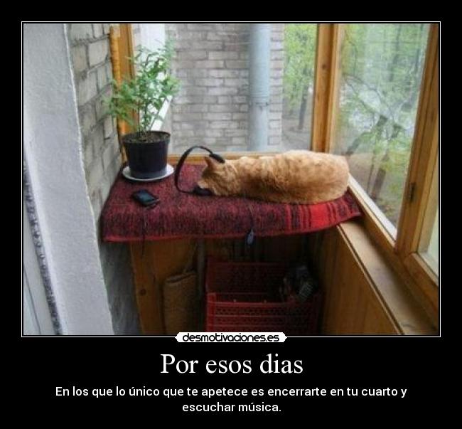 Por esos dias - 