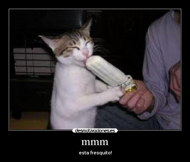 mmm - esta fresquito!