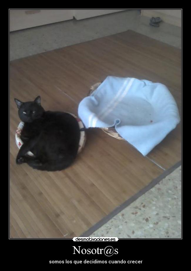 Nosotr@s - somos los que decidimos cuando crecer