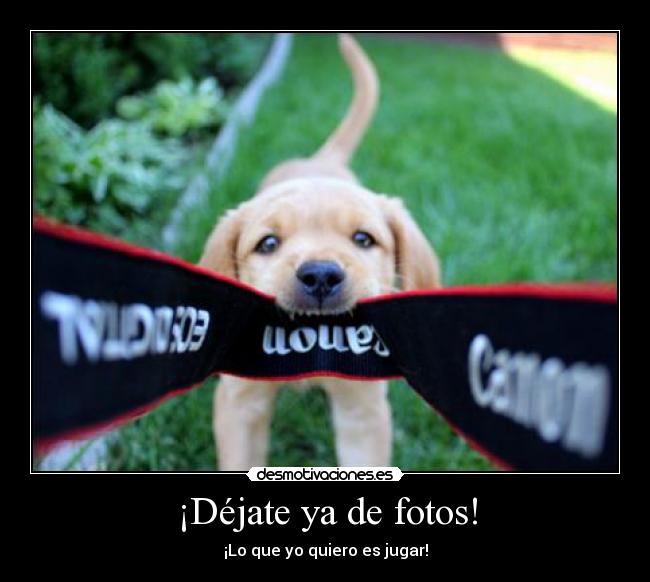 ¡Déjate ya de fotos! - 