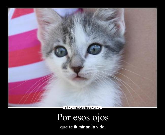 Por esos ojos - que te iluminan la vida.