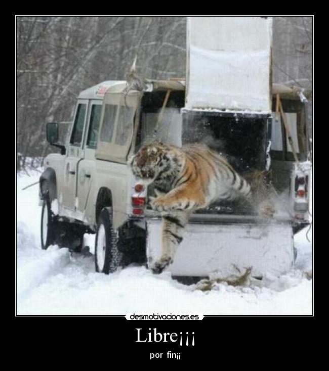 Libre¡¡¡ - por  fin¡¡