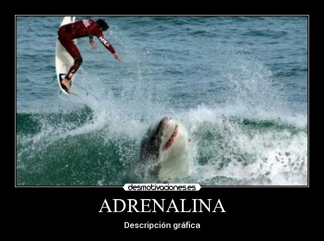 ADRENALINA -