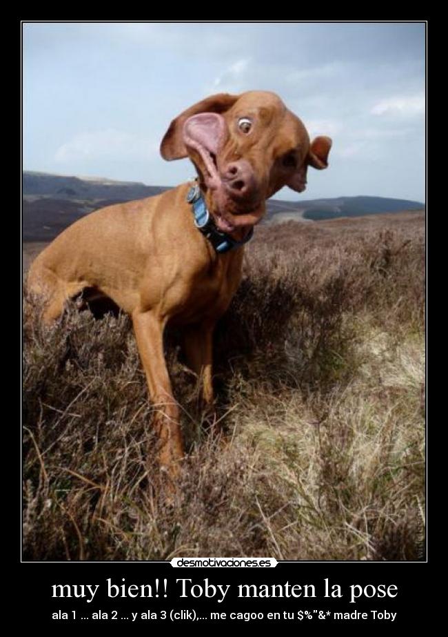 muy bien!! Toby manten la pose - ala 1 ... ala 2 ... y ala 3 (clik),... me cagoo en tu $%&* madre Toby