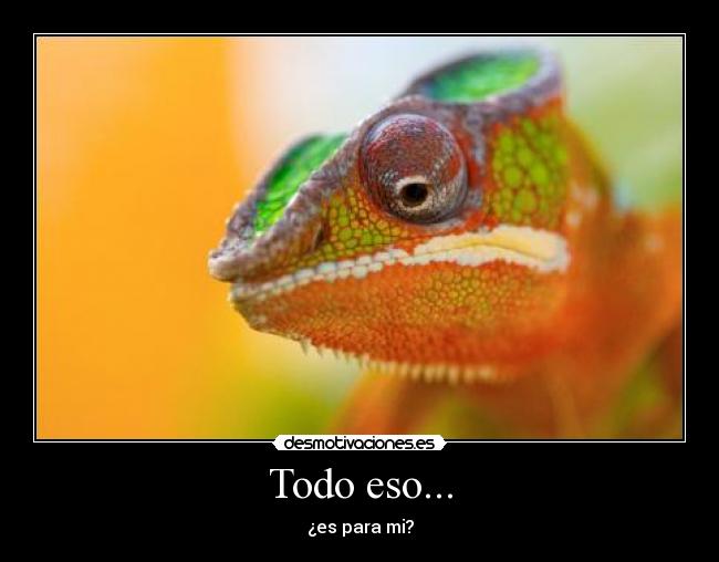 carteles todo eso es para mi ser iguana reptil animal comida naranja color verde ojos meme desmotivaciones