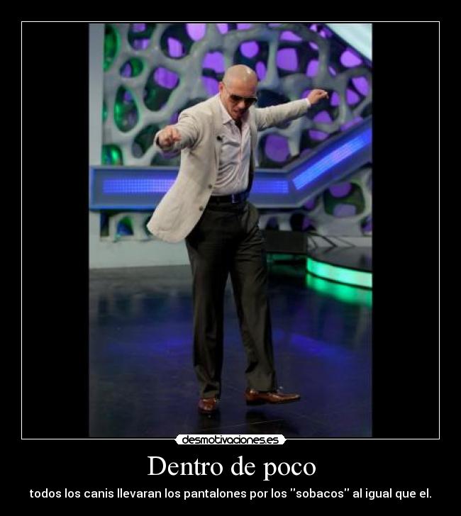 Dentro de poco - todos los canis llevaran los pantalones por los sobacos al igual que el.