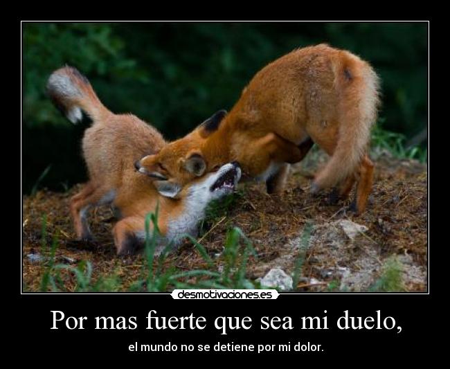 Por mas fuerte que sea mi duelo, -