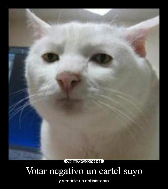Votar negativo un cartel suyo - y sentirte un antisistema.