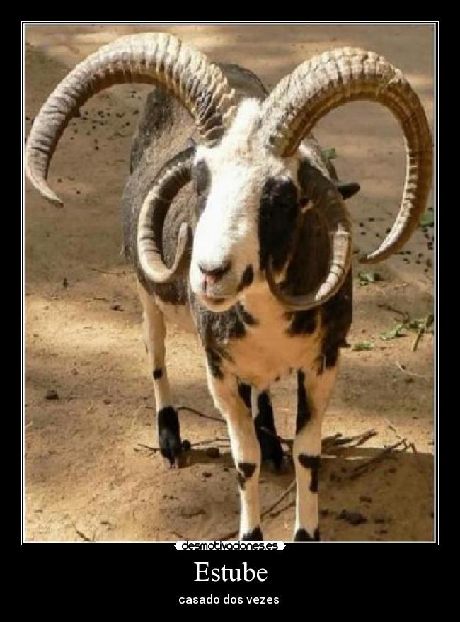 carteles walk-t desmotivaciones