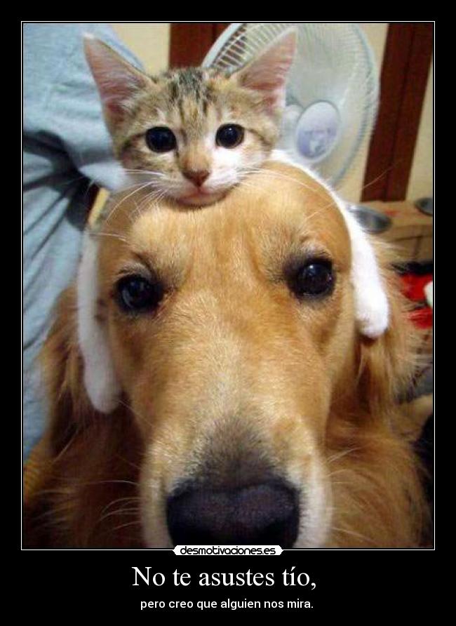 No te asustes tío,  - pero creo que alguien nos mira. 