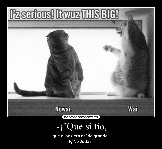 -¡Que si tío, - 