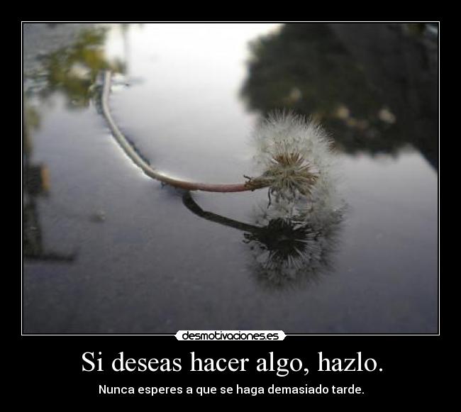 Si deseas hacer algo, hazlo. - Nunca esperes a que se haga demasiado tarde.