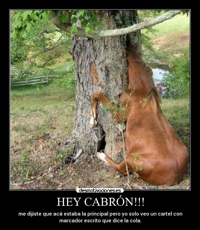 HEY CABRÓN!!! - me dijiste que acá estaba la principal pero yo solo veo un cartel con
marcador escrito que dice la cola.