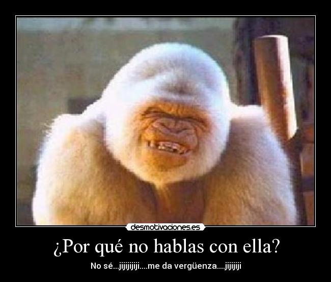 ¿Por qué no hablas con ella? - 