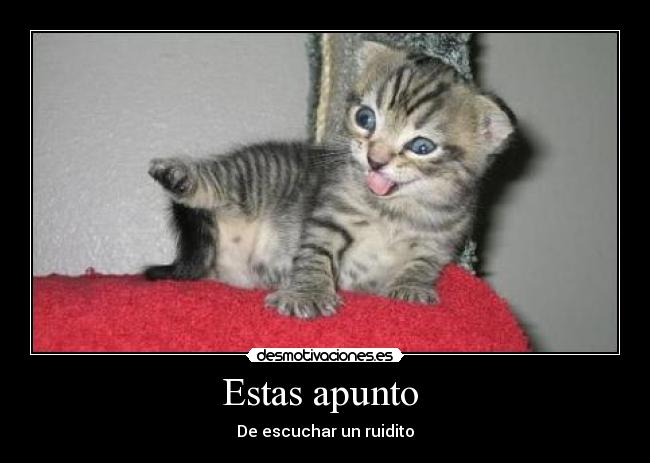 Estas apunto - De escuchar un ruidito