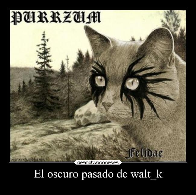 El oscuro pasado de walt_k - 