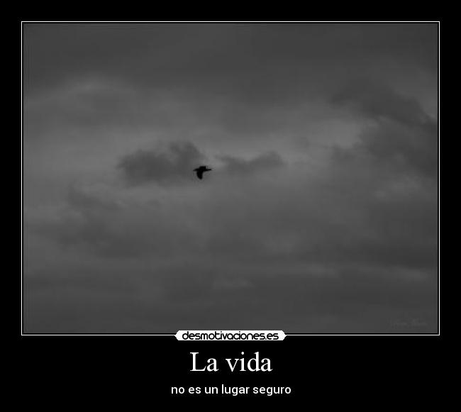 La vida -