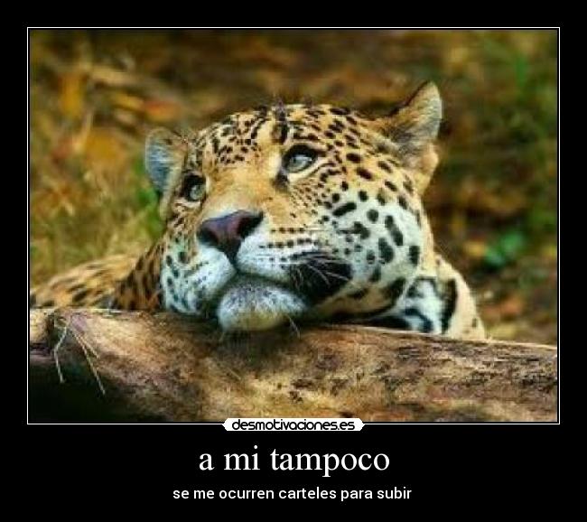 a mi tampoco - se me ocurren carteles para subir