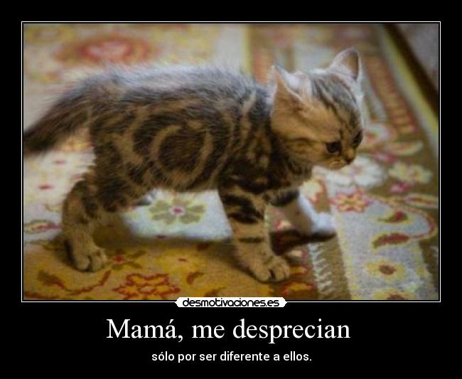 Mamá, me desprecian -