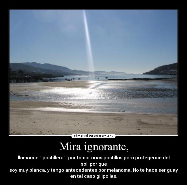Mira ignorante, - llamarme ``pastillera´´ por tomar unas pastillas para protegerme del sol, por que
soy muy blanca, y tengo antecedentes por melanoma. No te hace ser guay
en tal caso gilipollas.