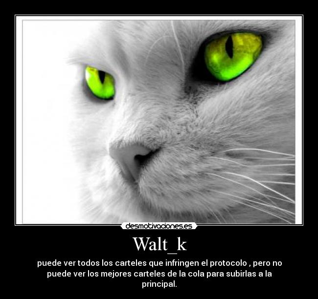 Walt_k - puede ver todos los carteles que infringen el protocolo , pero no
puede ver los mejores carteles de la cola para subirlas a la
principal.