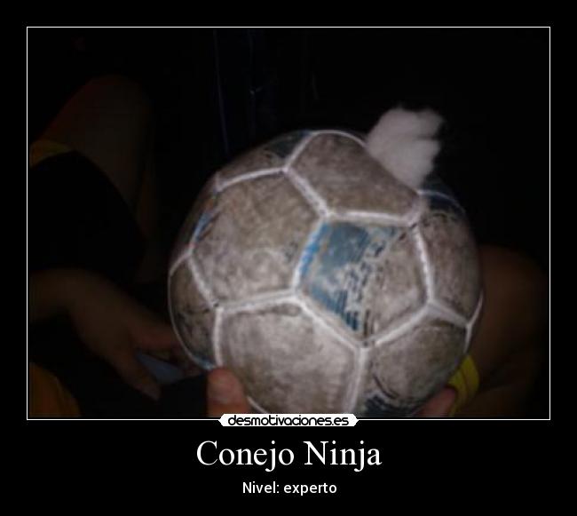 Conejo Ninja - 