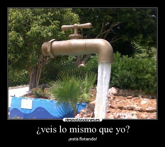 ¿veis lo mismo que yo? - ¡està flotando!