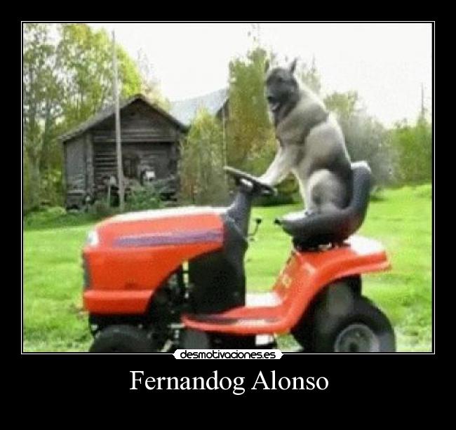 Fernandog Alonso - 