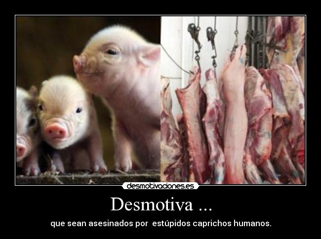 Desmotiva ... - que sean asesinados por estúpidos caprichos humanos.