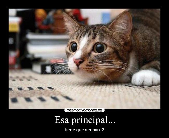 Esa principal... - tiene que ser mia :3