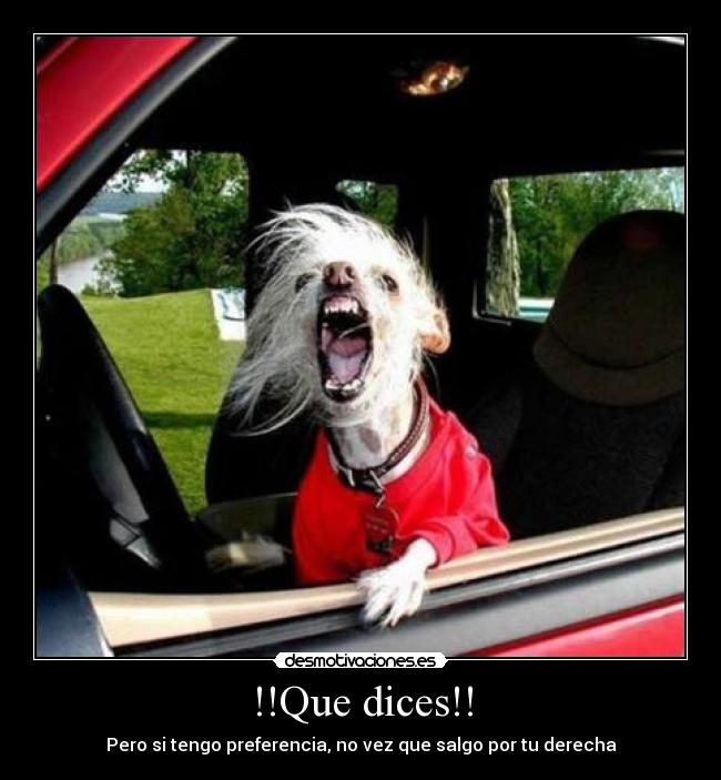 !!Que dices!! - Pero si tengo preferencia, no vez que salgo por tu derecha