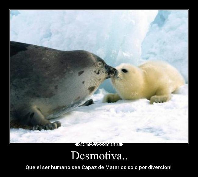 Desmotiva.. - Que el ser humano sea Capaz de Matarlos solo por divercion! 