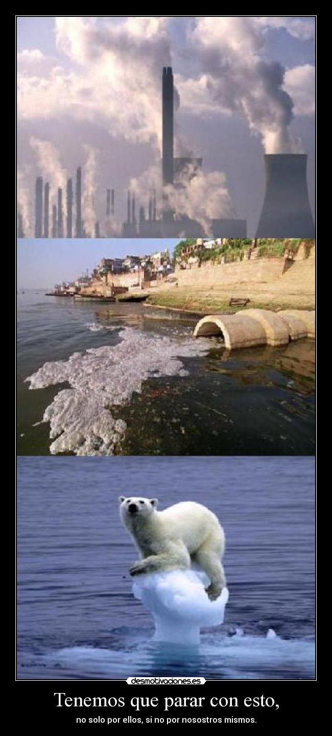 Tenemos que parar con esto, - no solo por ellos, si no por nosostros mismos.