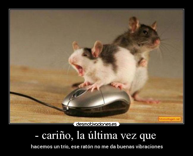 - cariño, la última vez que  - hacemos un trío, ese ratón no me da buenas vibraciones
